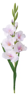 Produktbild von Künstliche Gladiolenblüte, realistische Seidenblume, Dekoration für Zuhause, Büro, Hochzeit, Party, drinnen und draußen