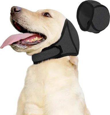 Produktbild von Hund Ohrenstöpsel L, wasserdicht, Geräuschdämpfung, für Waschen
