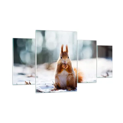Produktbild von Bilder auf glas - Eichhörnchen Winter Schnee Essen - 160x90cm - Glasbilder - Wandbilder - Kunstdruck - zum Aufhängen bereit - Wanddekoration aus Glas - Glas Bilder - Wandbild auf Glas - GDL160x90-2798