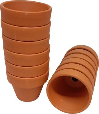 Immagine prodotto di ferrarium Vasi in terracotta, 5 cm, Ø 12 pezzi, materiale naturale, adatti per semina, coltivazione, fai da te