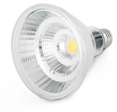 Immagine prodotto di E27 Par38 Led 12W Ip65 3000K 810Lm