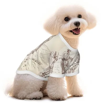 Produktbild von Hundeshirt mit Wüstendruck – Atmungsaktiv, leicht und schnelltrocknend – Größe M