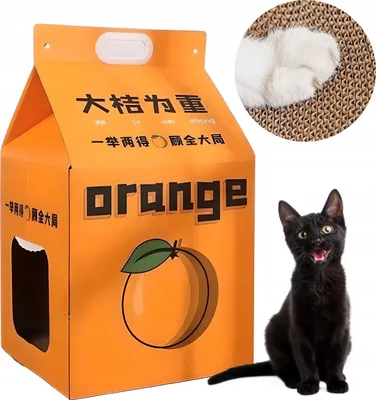 Image de Lit à griffer coréen pour chats en carton MILK CARTON ORANGESSAFT