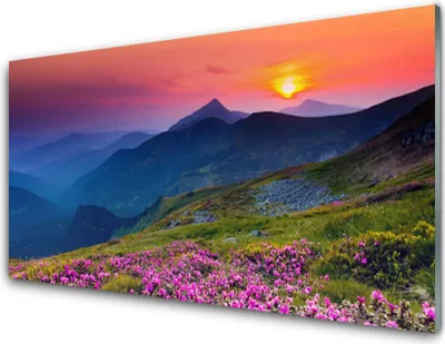 Produktbild von Acrylglasbilder 100x50 Wandbild Druck Gebirge Wiese Blumen Landschaft