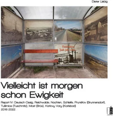 Image de Vielleicht ist morgen schon Ewigkeit