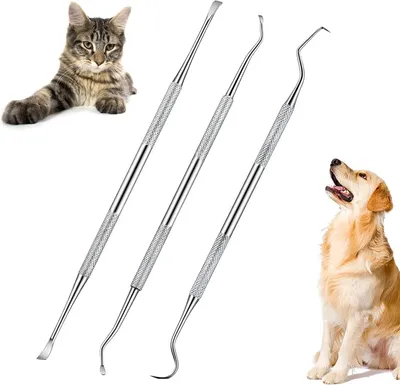 Produktbild von Zahnstein Entferner Hunde Katzen 6PCS Zahnreinigung Set Edelstahl