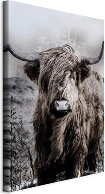 Produktbild von Italienischer Leinwand Leinwandbild - Highland Cow in Sepia 20x30 cm Tiere g-C-0364-b-a