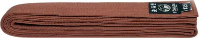 Produktbild von Karate Farbgürtel, TOKAIDO, Baumwolle Braun - Größe 315 cm (6.0)