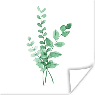 Produktbild von MuchoWow® Poster Aquarelle - Blätter - Pflanzen 75x75 cm - Wand Dekoration