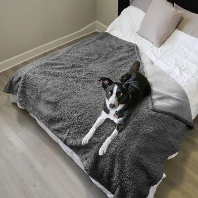 Produktbild von Wassbare Hundedecke, 203x152cm, Plüsch, Antirutsch, Sherpa, Wasserfest