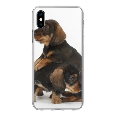 Produktbild von MuchoWow® Handyhülle Schutzhülle Hülle für iPhone Xs Studiofoto von zwei süßen Dackeln Silikon Softcase Handy Hülle - Handytasche