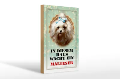 Produktbild von Holzschild Hund 20x30cm in diesem Haus wacht Malteser