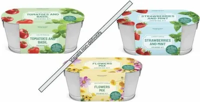 Zdjęcie produktu dla Silverlit 54061, 3 lat(a), Plastik, Wielobarwny