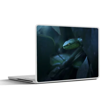 Produktbild von MuchoWow® Laptop Aufkleber Sticker Cover Schlange - Makro - Holz 25x18 cm - Laptop-Deko