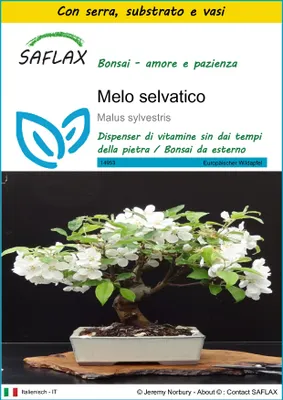 Immagine prodotto di SAFLAX Insieme di coltivazione - Melo selvatico - 30 semi - Malus