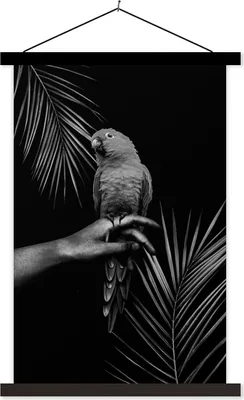 Produktbild von MuchoWow® Textilposter Vogel vor schwarzem Hintergrund - schwarz und weiß 60x90 cm mit schwarzem Rahmen - Poster Wohnzimmer