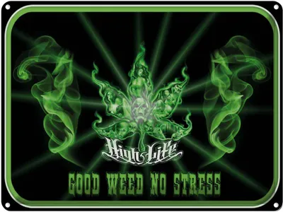 Produktbild von vianmo Blechschild 30x40 cm High Life good weed no stress