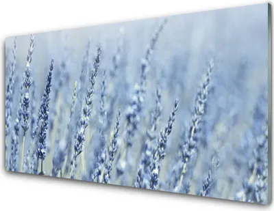 Produktbild von Acrylglasbilder 100x50 Wandbild Druck Blumen Pflanzen