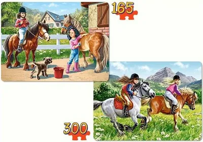 Produktbild von Castorland Riding Horses 2x Puzzle(165+300)Teile   B-021079