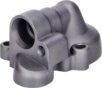 Produktbild von Wasserpumpengehäuse 101_Octane für Minarelli AM