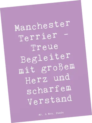 Produktbild von Mr. & Mrs. Panda Postkarte Spruch Manchester Terrier Begleiter - Lavendeltraum - Geschenk, Energie, bildkarte, kleiner Hund, Hunderassen Beschreibung, intelligenter