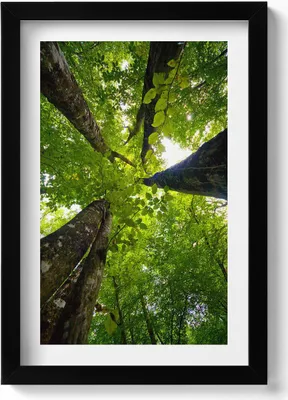 Produktbild von Gerahmtes Kunstwerk– Wandbild mit Rahmen – Gerahmtes Bild  – Wanddekoration – 20x30 cm – Schwarz