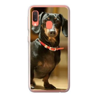 Produktbild von MuchoWow® Handyhülle Schutzhülle Hülle für Samsung Galaxy A20e Porträt eines schwarzen Dackels Silikon Softcase Handy Hülle - Abdeckung