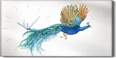 Produktbild von Wandkunst Leinwand Bild Uhr Geräuschlos 60x30 Gemälde Tier Vogel Pfau Kunst - weiße Hände