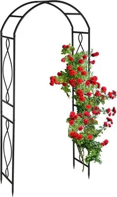 Immagine prodotto di Arco per rose in metallo nero