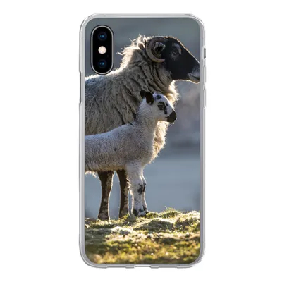 Produktbild von MuchoWow® Handyhülle Schutzhülle Hülle für iPhone X Schaf - Lamm - Sonne Silikon Softcase Handy Hülle - Handyhülle