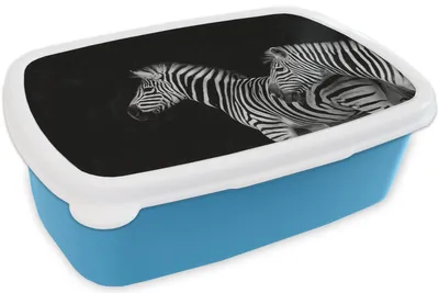 Produktbild von KitchenYeah® Lunchbox Brotzeit Brotdose 17x11 cm Zebra - Weiß - Tiere - Schwarz Kinder Brotzeitdose - Lunch - Kunststoff  - Brotbüchse - Sandwichbox - Lunchbox für Kinder