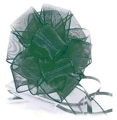 Produktbild von Roth Ziehschleifen Rapid, türkis Ø13cm, 10Stk.