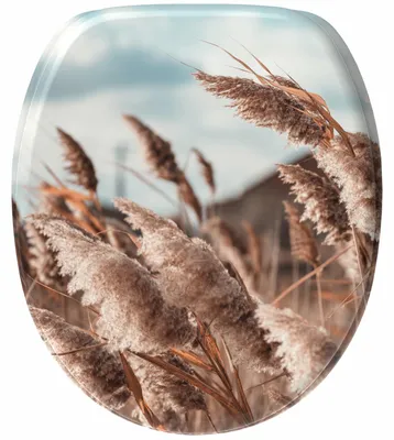 Imagen del producto de SANILO® Asiento de inodoro con sistema de cierre suave, estilo Boho. Tapa de inodoro directamente del fabricante. Tapa de inodoro, asiento de inodoro, tapa de váter, asiento de váter
