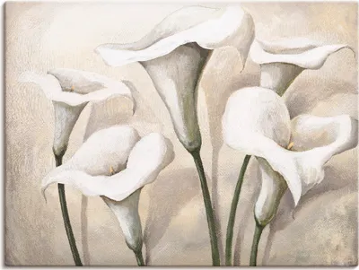 Produktbild von ARTland Leinwandbild Callas I Größe: 40x30 cm