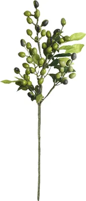 Image de Branches d'olivier artificielles Branches d'olivier artificielles Feuilles d'olivier artificielles Tiges de plantes pour la maison, le jardin et la décoration de mariage