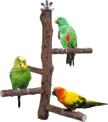 Image de Jouet en bois naturel pour oiseaux pour perruches, nymphes, conures, aras, pinsons et oiseaux d'amour (M : 25 cm de longueur)