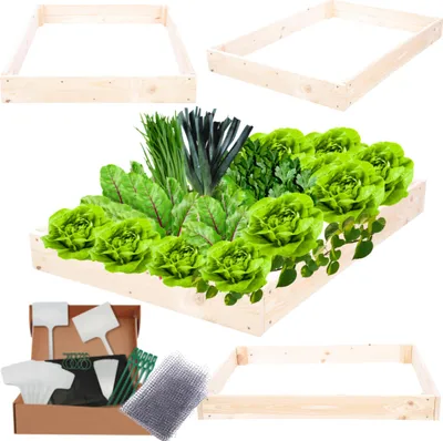 Produktbild von MODO24 Hochbeet Holz, Pflanzkasten, Massivholz, Kiefer, Kräuterbeet, Blumenkasten, Garten, Terrasse, 9x60x100 cm, Natur, ZP09