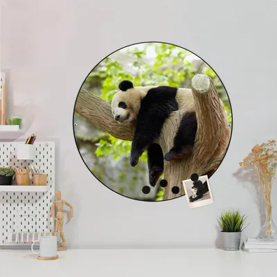 Produktbild von Design Stahlmagnettafel Schwarz Rund 47cm Panda