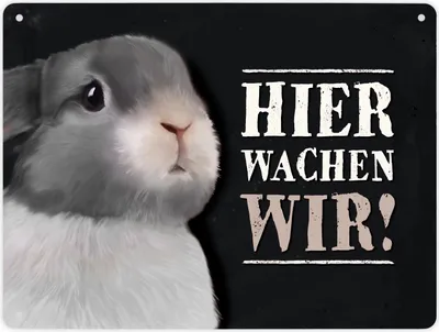 Produktbild von Hier wachen wir! Metallschild XL mit Hase Motiv Schild Blechschild