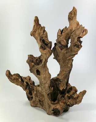 Produktbild von Barico-Wurzeln - Large 30 - 45cm