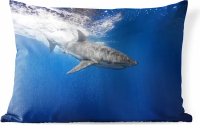 Produktbild von MuchoWow® Outdoor Kissen - Hai - Meer - Wasser - 60x40 cm - Wetterfest - Lounge Kissen - Zierkissen - Kissen für Innenräume
