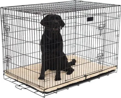 Productafbeelding van Hondenbench - Hondenmand Hondenkennel - Veilige Rustplek - Opvouwbaar Ontwerp - 91 x 58 x 65 CM - Zwart