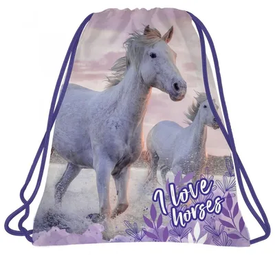 Image de Sac à chaussures pour chevaux WOKO25