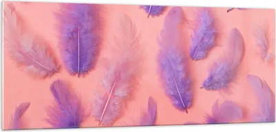 Produktbild von Bilder auf glas - Vogel Feder Farbe Komposition - 100x40cm - Glasbilder - Wandbilder - Kunstdruck - zum Aufhängen bereit - Wanddekoration aus Glas - Glas Bilder - Wandbild auf Glas - GAB100x40-2922