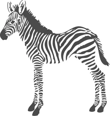 Produktbild von Origin Wallcoverings Fototapete Zebras Schwarz-Weiß 150 x 279 cm