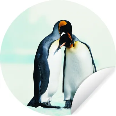 Produktbild von MuchoWow® Runde Wandtattoo - Wandsticker Tapete Aufkleber Pinguine - Schnee - Familie Ø 80 cm Selbstklebend und Repositionierbar - Wandaufkleber - Kreis - Mauerkreis - Wand Bilder - Wandsticker - Wohnzimmer Dekoration - Dekoration für die Wände - Aluminium - Babyzimmer