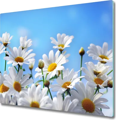 Produktbild von Glas Herdabdeckplatte 60x52 cm Spritzschutz Glasabdeckplatte Schneidebrett Gänseblümchen