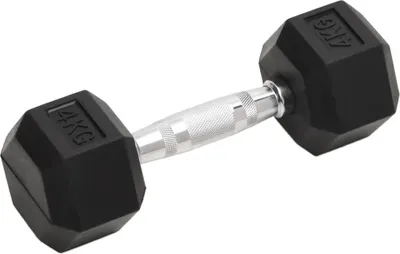 Obrázek produktu pro vidaXL Činky 2 ks 8 kg celkem litina