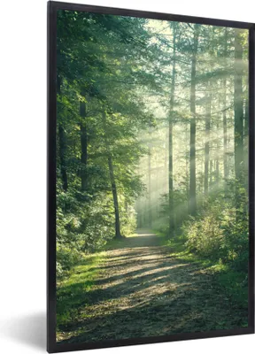 Produktbild von MuchoWow® Gerahmtes Poster Wald - Weg - Sonne - Bäume - Grün - Natur 60x90 cm - Poster mit Schwarzem Bilderrahmen Wandposter Rahmen Foto Bilder - Kunst