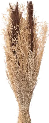 Zdjęcie produktu dla Clayre & Eef suszone kwiaty 60 cm brązowe suszone kwiaty